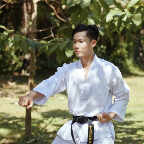 Concentrated taekwondo sportsman practicing movements outdoors